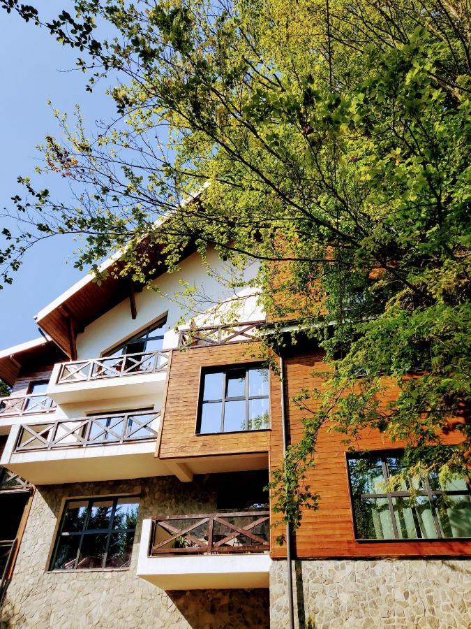 Casa Larisa Antonia Apartments سِنايا المظهر الخارجي الصورة